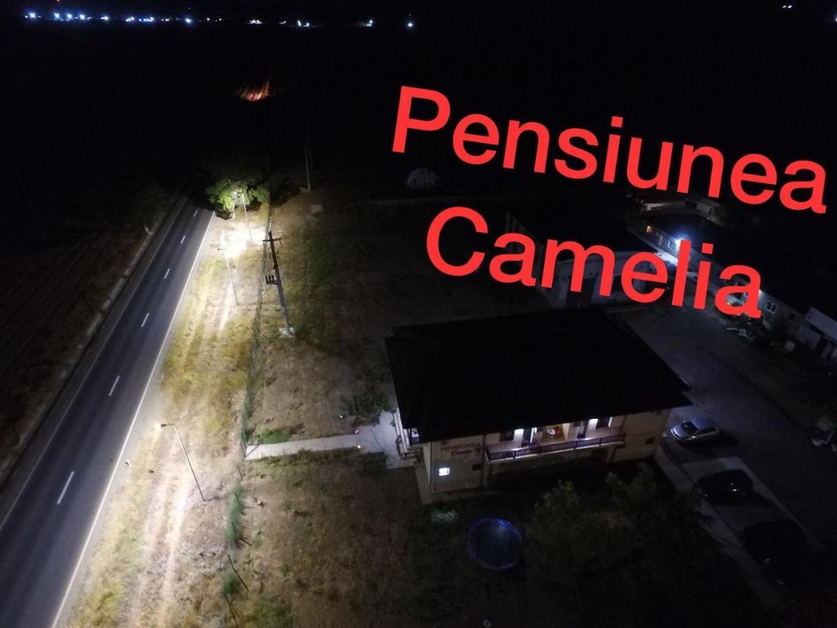 Pensiunea Camelia Baia ภายนอก รูปภาพ